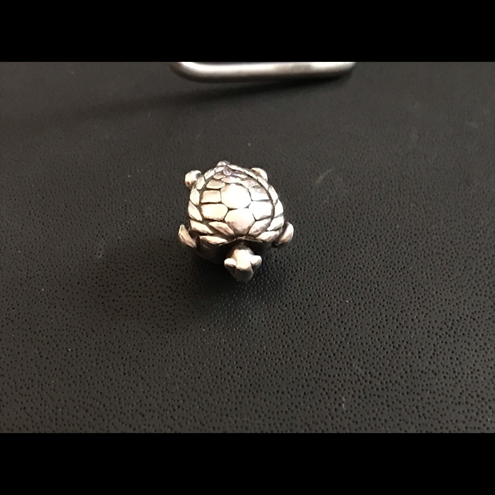 Sterling silver turtle charm